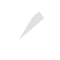 茂名临时保镖服务